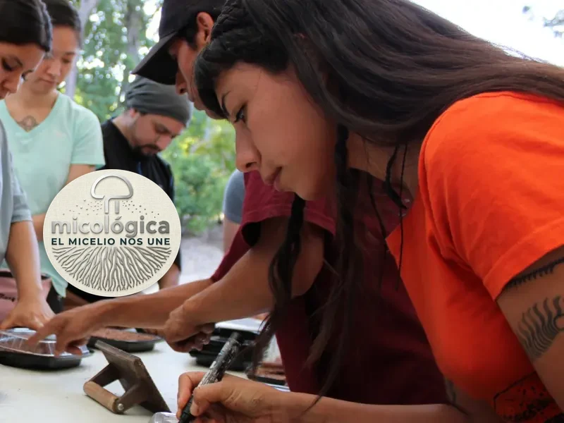 Participante rotulando cajas de cultivo en el laboratorio