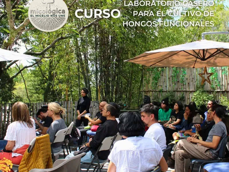 Curso de laboratorio casero para el cultivo de hongos funcionales