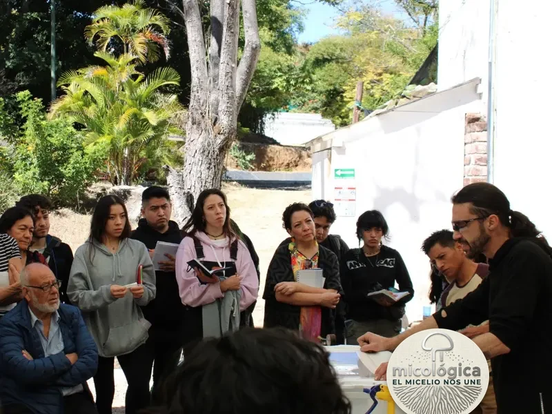 Demostración de técnica en laboratorio