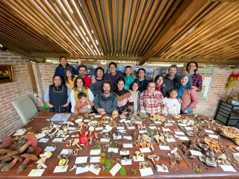 Taller de recolección e identificación de hongos silvestres