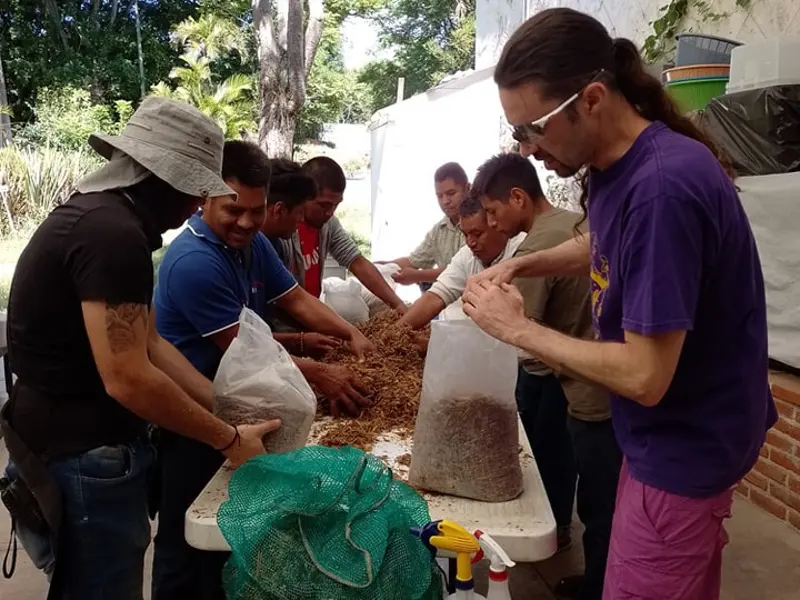 Preparación de sustrato durante una capacitación