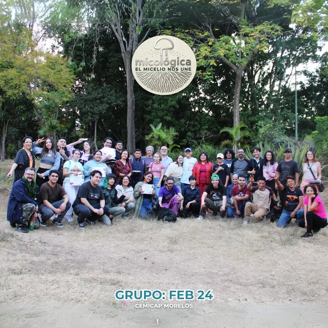 Grupo de capacitación, febrero de 2024